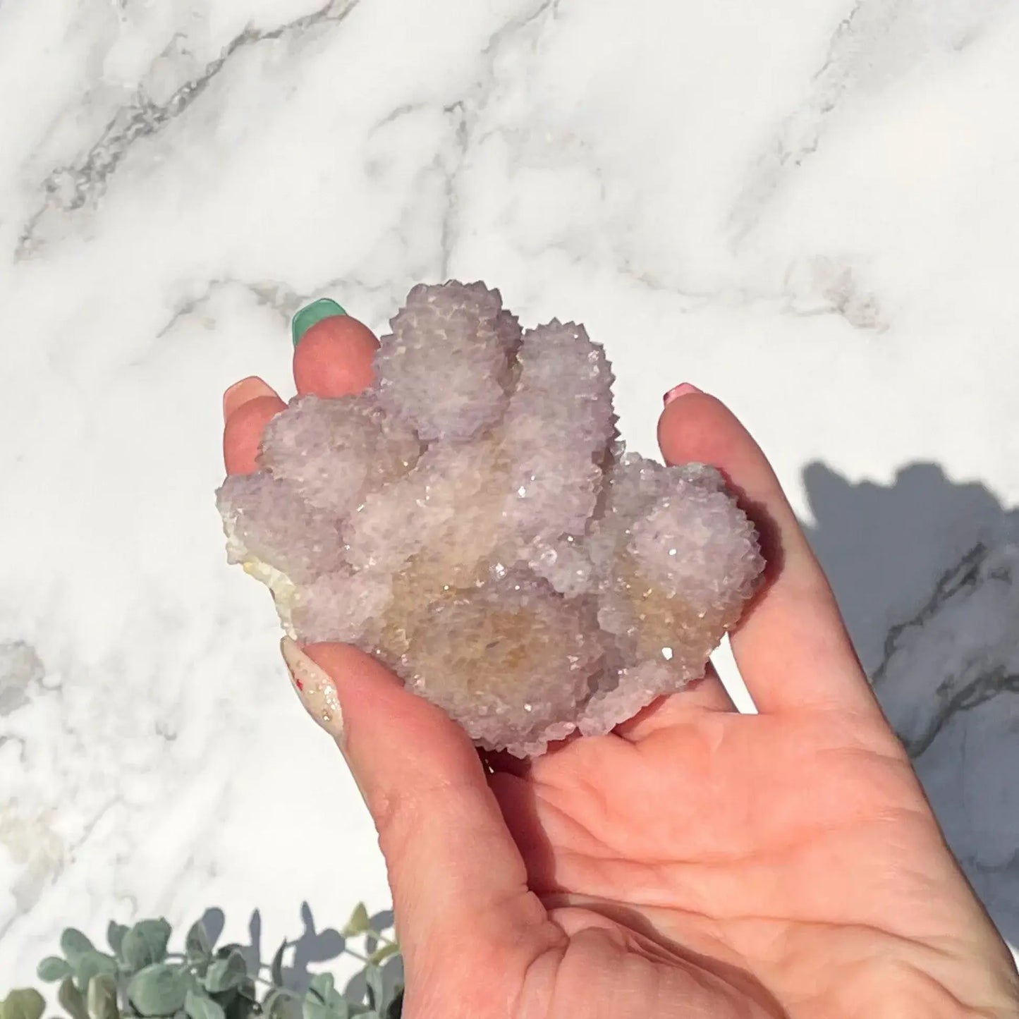 Spirit Quartz Cluster | Cactus Quartz