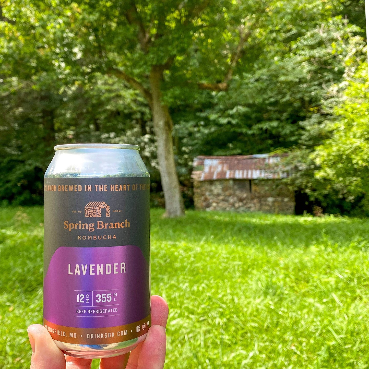 Spring Branch Kombucha