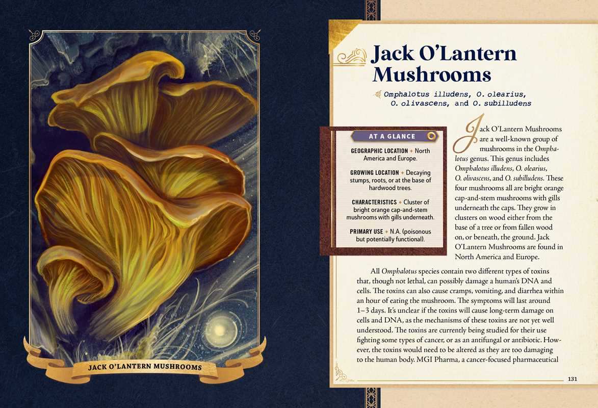 Little Book of Mushrooms by Alex Dorr: Hardcover; 256 pages / English