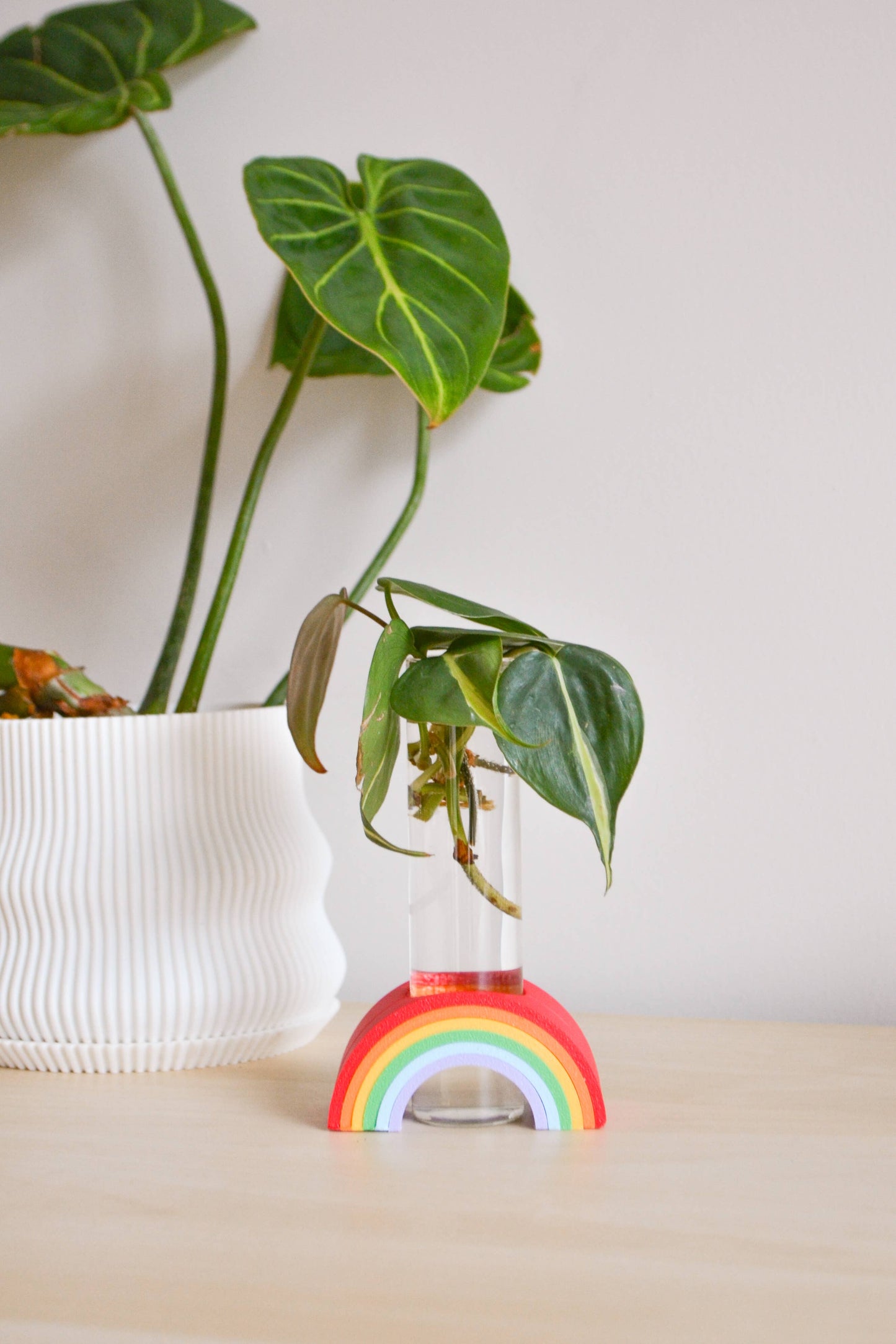 Rainbow Propagation Bud Vase / Propagation stand