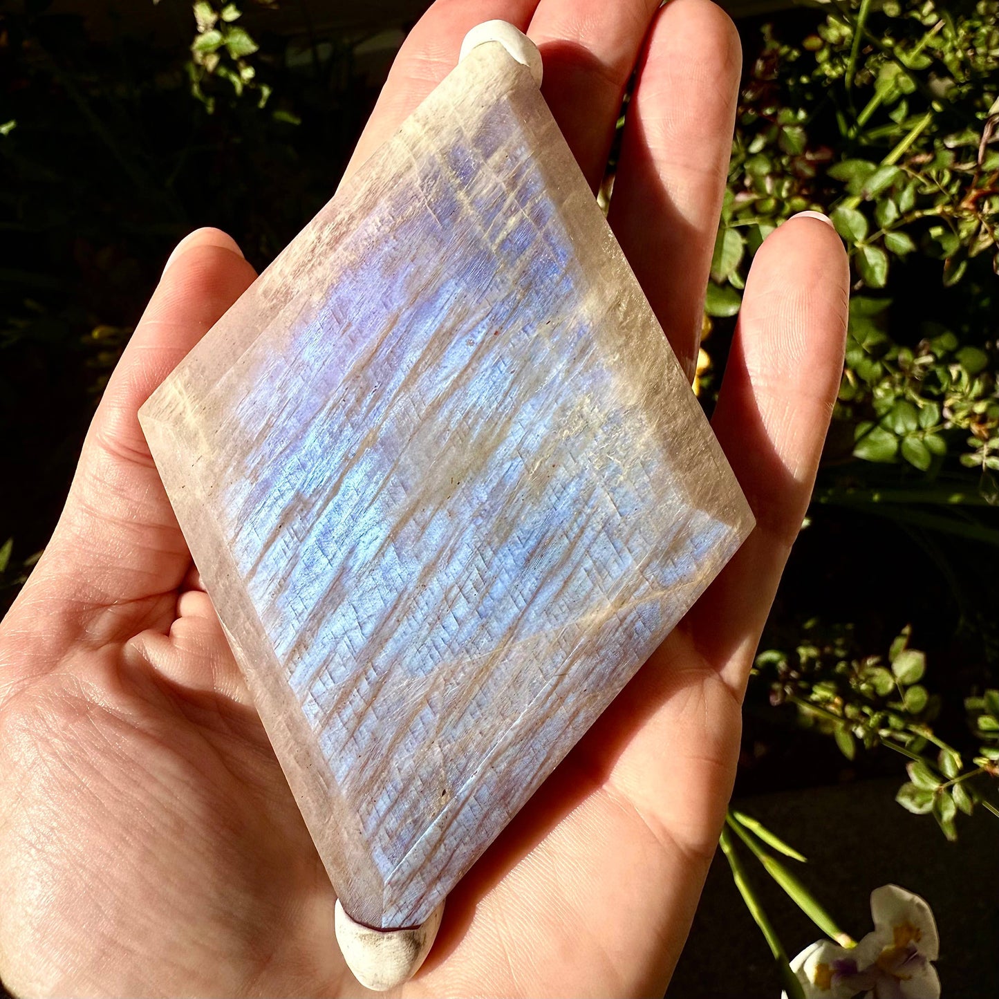 Moonstone + Sunstone Diamond Carvings : Small