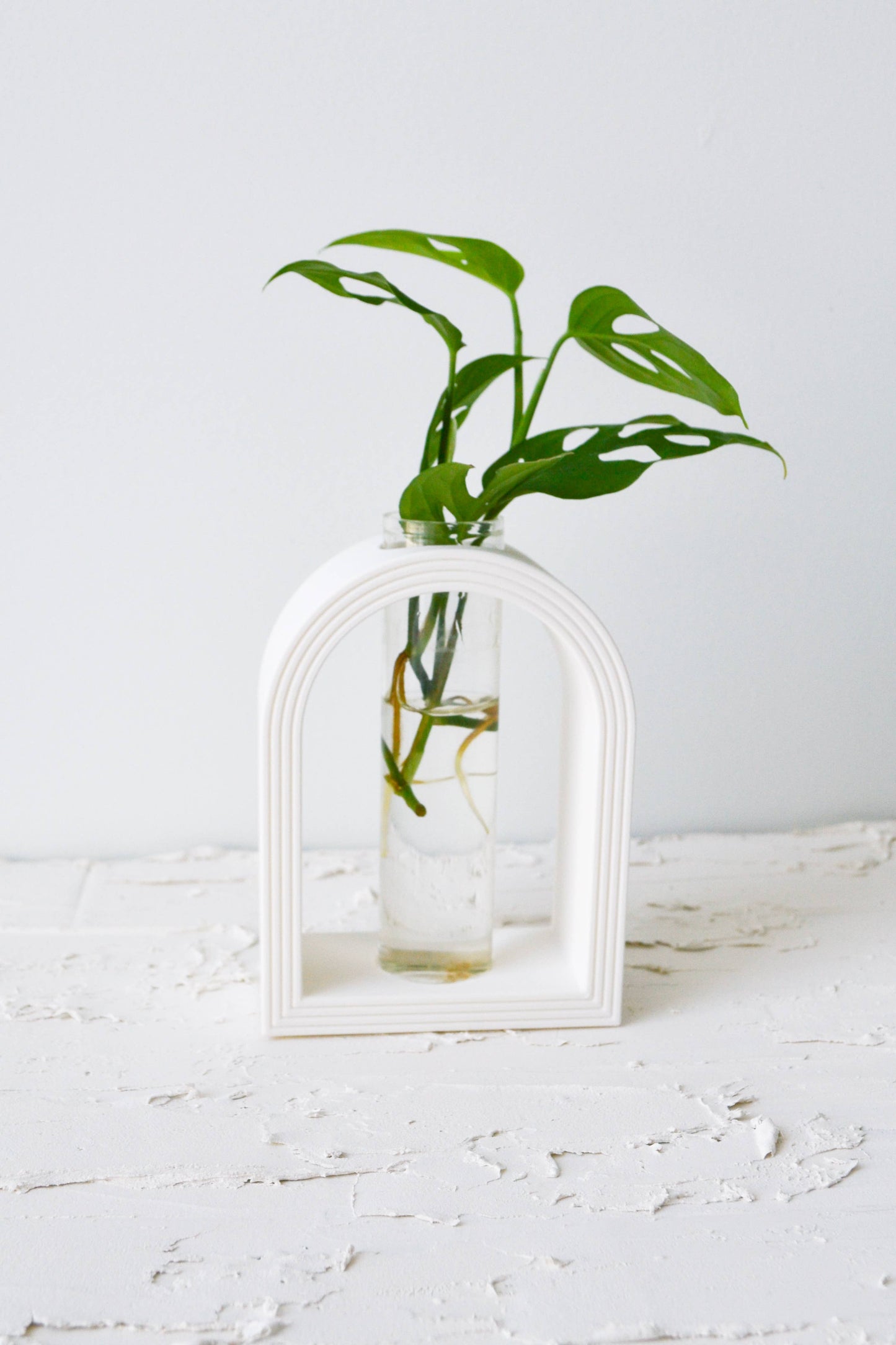 3D Printed Rainbow Arch Propagation Stands: Matte Pink