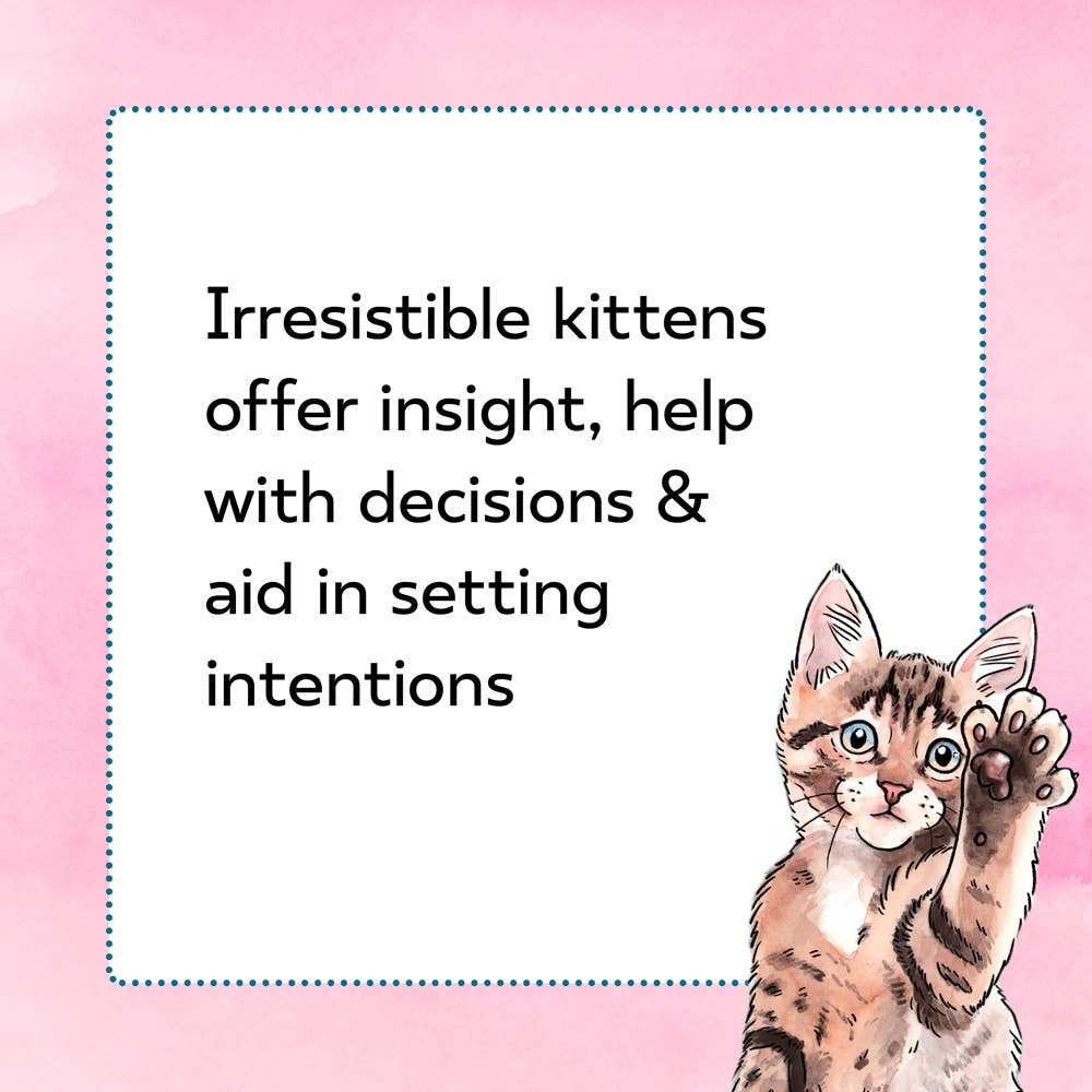 Kitten Oracle