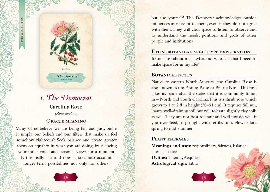 Oracle of The Roses by Cheralyn Darcey: Flashcards; 128 pages / English