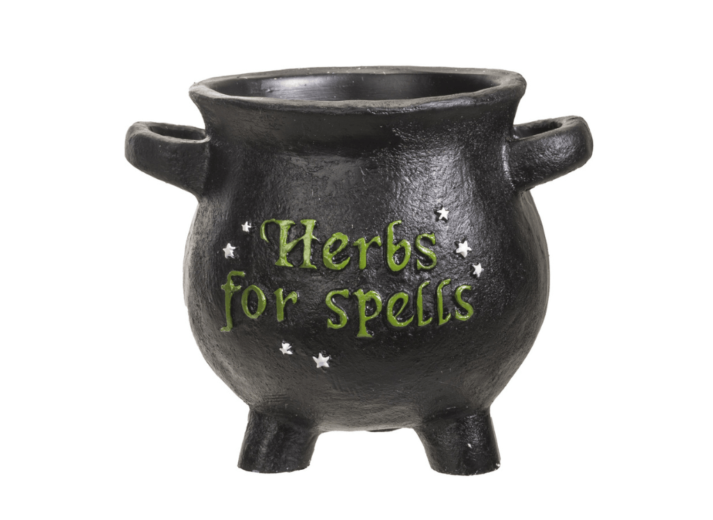 Herbs for Spells Cauldron Planter