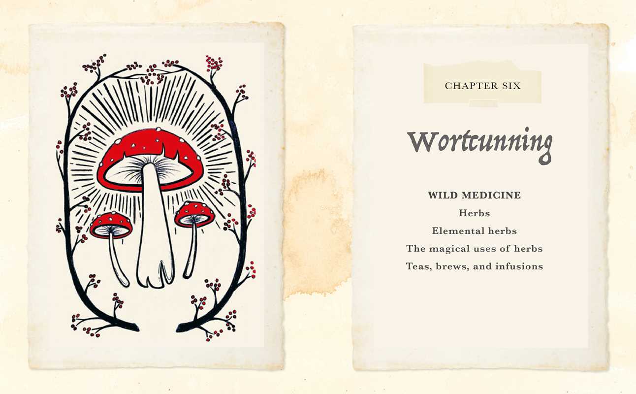 Witch of The Woods by Kiley Mann: Hardcover; 144 pages / English