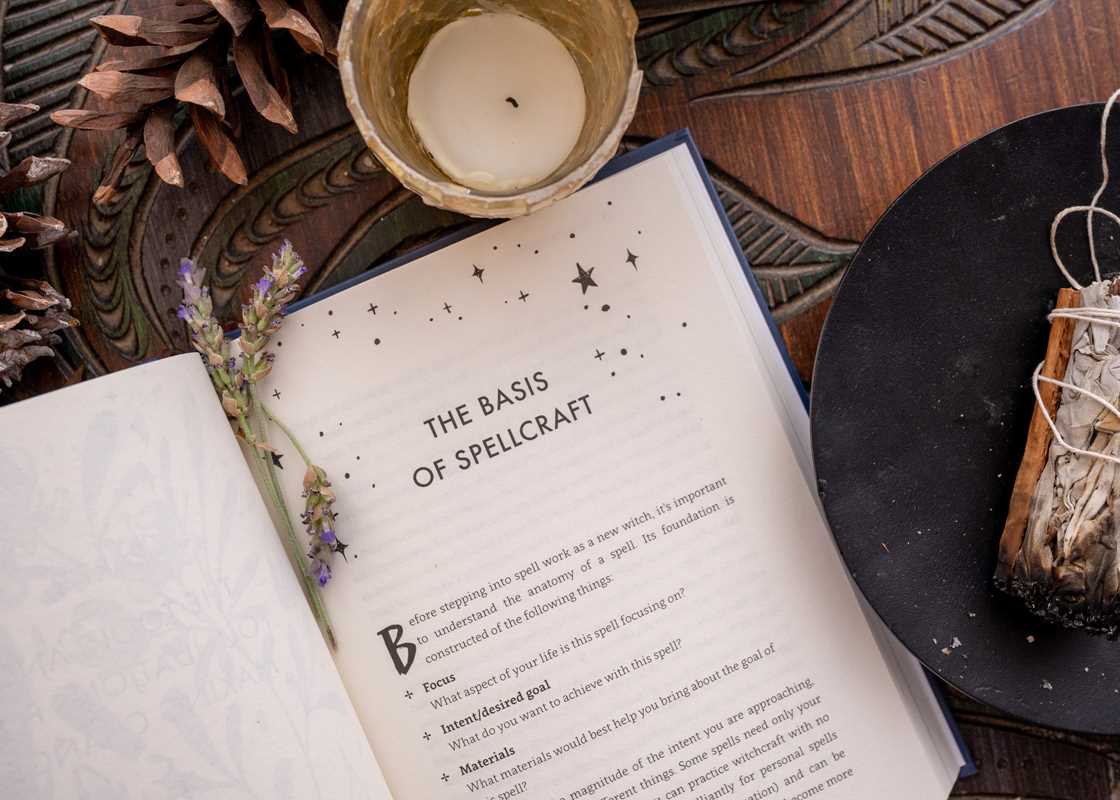 Spells for Change by Frankie Castanea: Hardcover; 208 pages / English