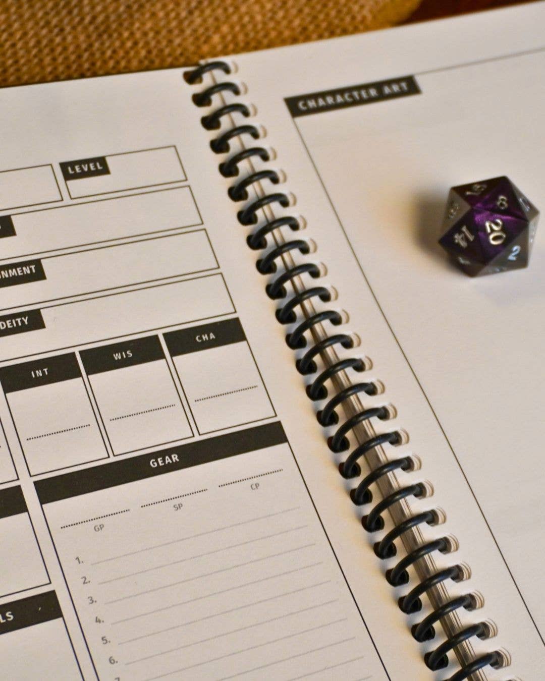 Dungeon Codex Shadowdark RPG Character Journal: One Set of Mystery Dice with Bottle