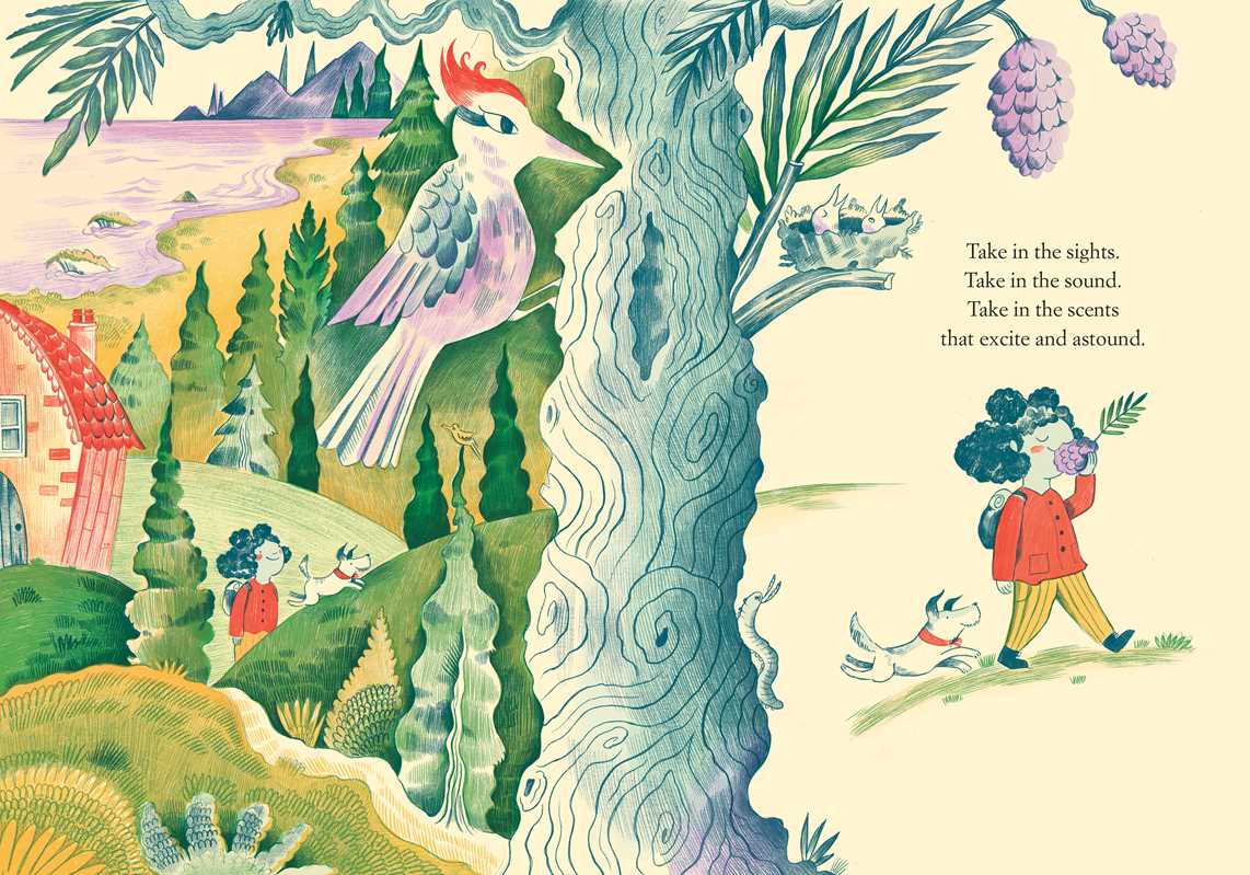 Dear Little One by Nina Laden: Hardcover; 40 pages / English