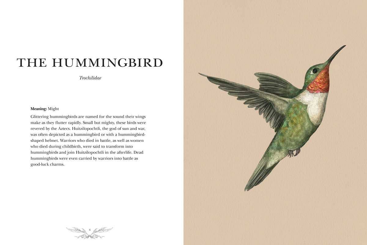 Ornithography by Jessica Roux: Hardcover; 224 pages / English