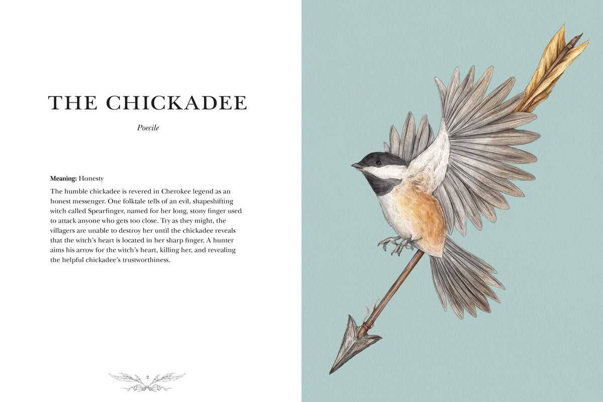 Ornithography by Jessica Roux: Hardcover; 224 pages / English