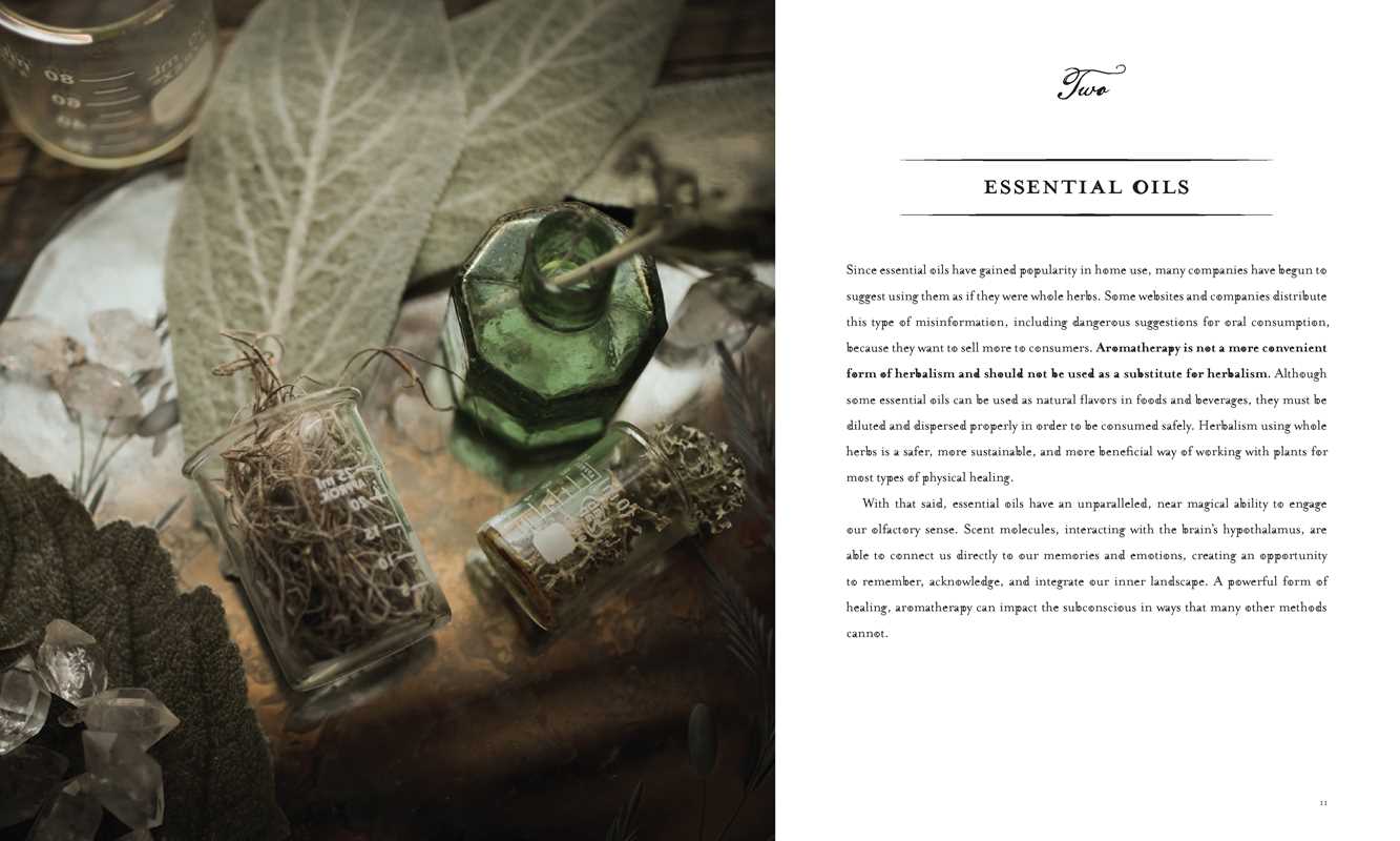 Spirit of Botany by Jill McKeever: Hardcover; 160 pages / English
