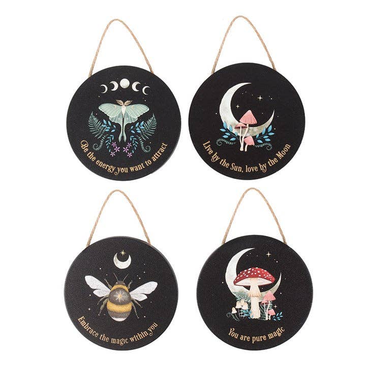 Set of 24 Dark Forest Mini Signs on Display