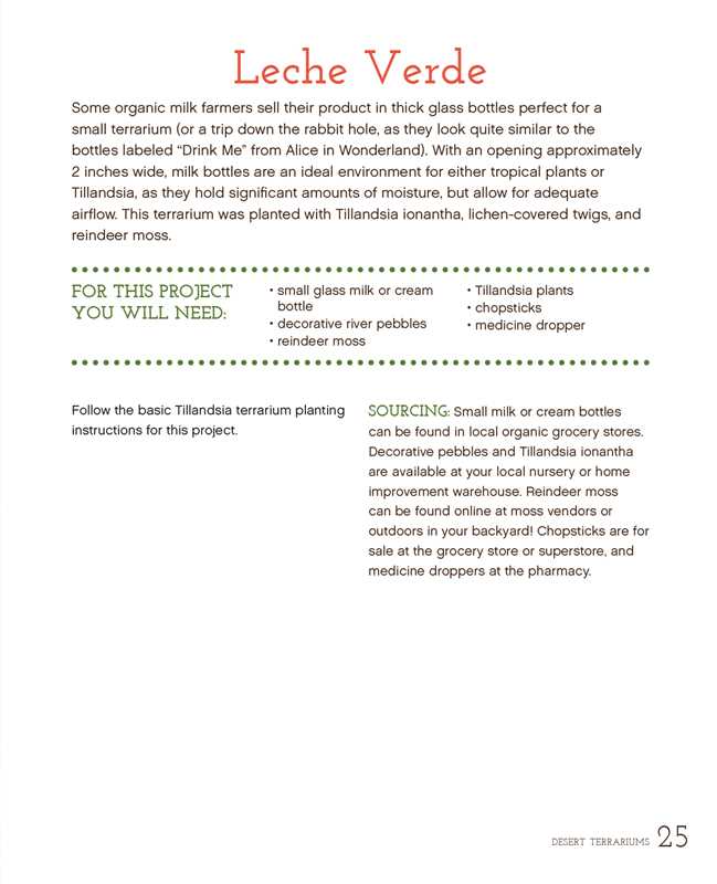 Terrariums Reimagined by Kat Geiger: Paperback; 144 pages / English