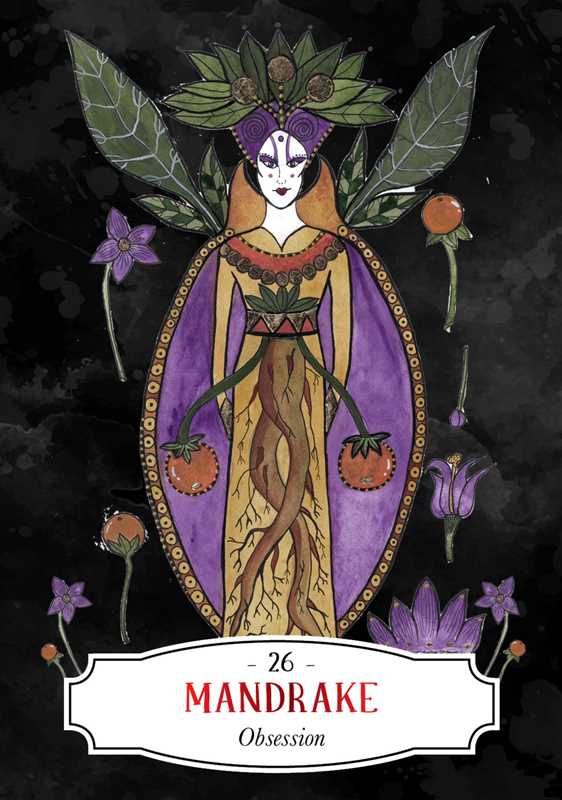 Deadly Apothecary Oracle by Priestess Moon: Flashcards; 96 pages / English