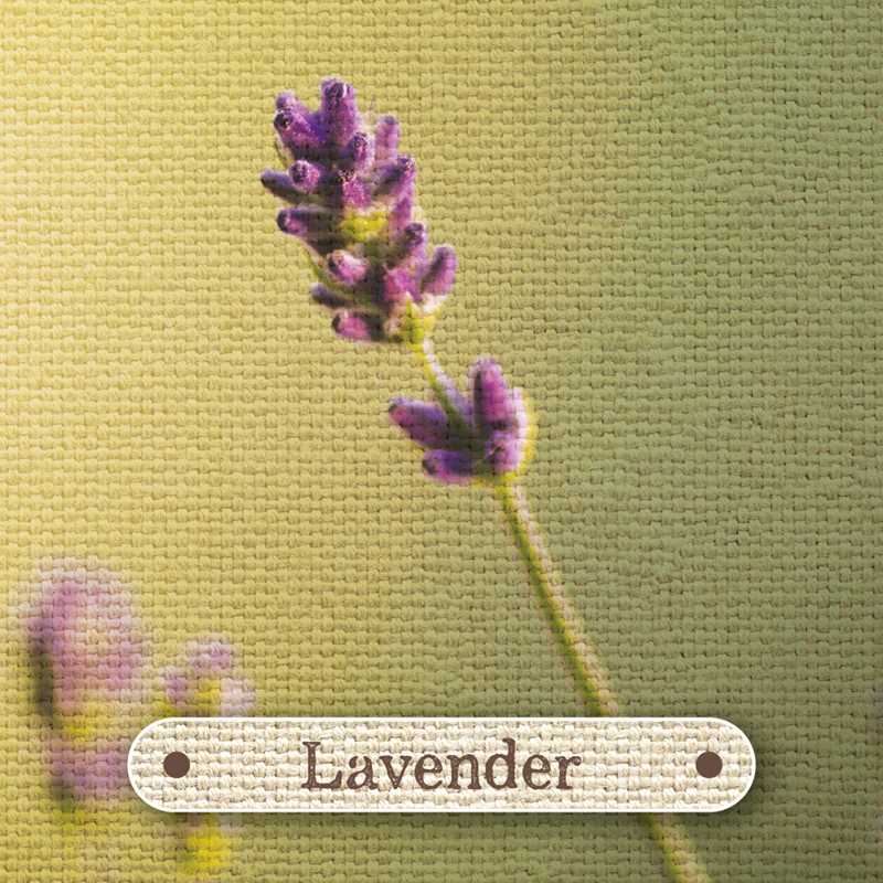 Apothecary Flashcards by Nicola McIntosh: Flashcards; 46 pages / English