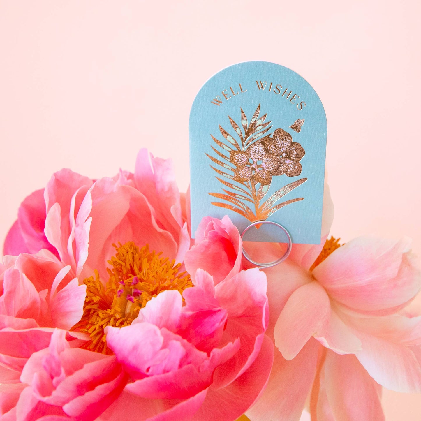 Well Wishes Orchid | Mini Card