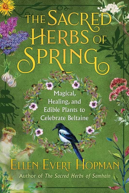 Sacred Herbs of Spring by Ellen Evert Hopman: Paperback; 376 pages / English