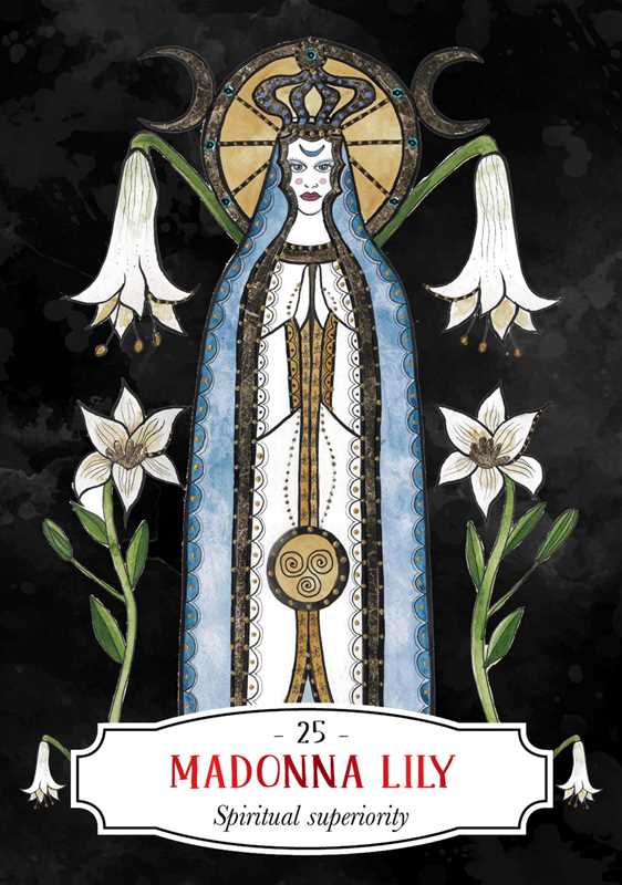 Deadly Apothecary Oracle by Priestess Moon: Flashcards; 96 pages / English