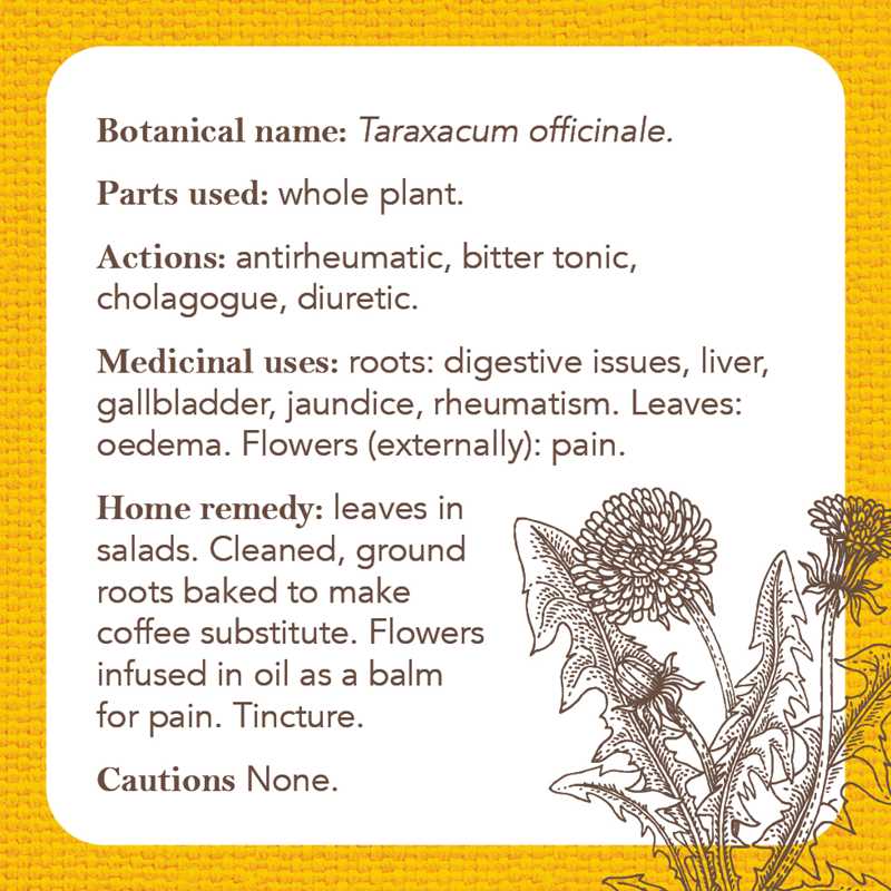 Apothecary Flashcards by Nicola McIntosh: Flashcards; 46 pages / English