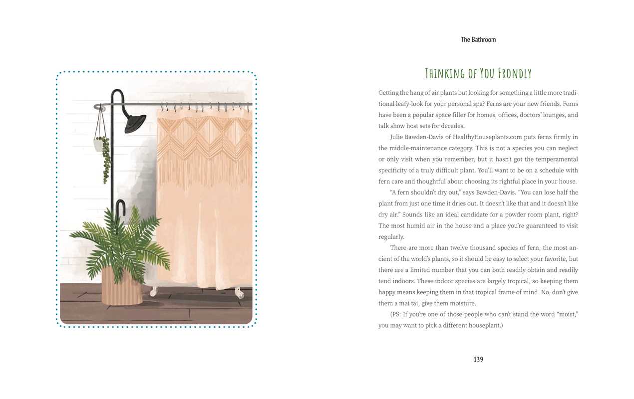 Never Put a Cactus in the Bathroom by Emily L. Hay Hinsdale: Hardcover; 208 pages / English
