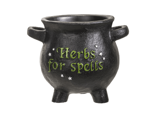 Herbs for Spells Cauldron Planter