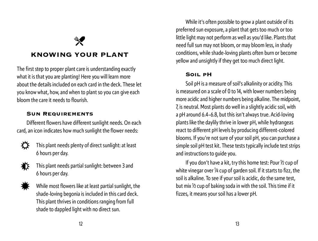 Flower Garden Deck by Jon VanZile: Flashcards; 50 pages / English