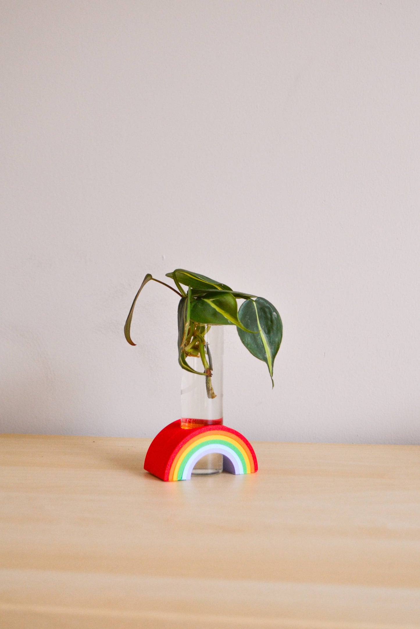 Rainbow Propagation Bud Vase / Propagation stand