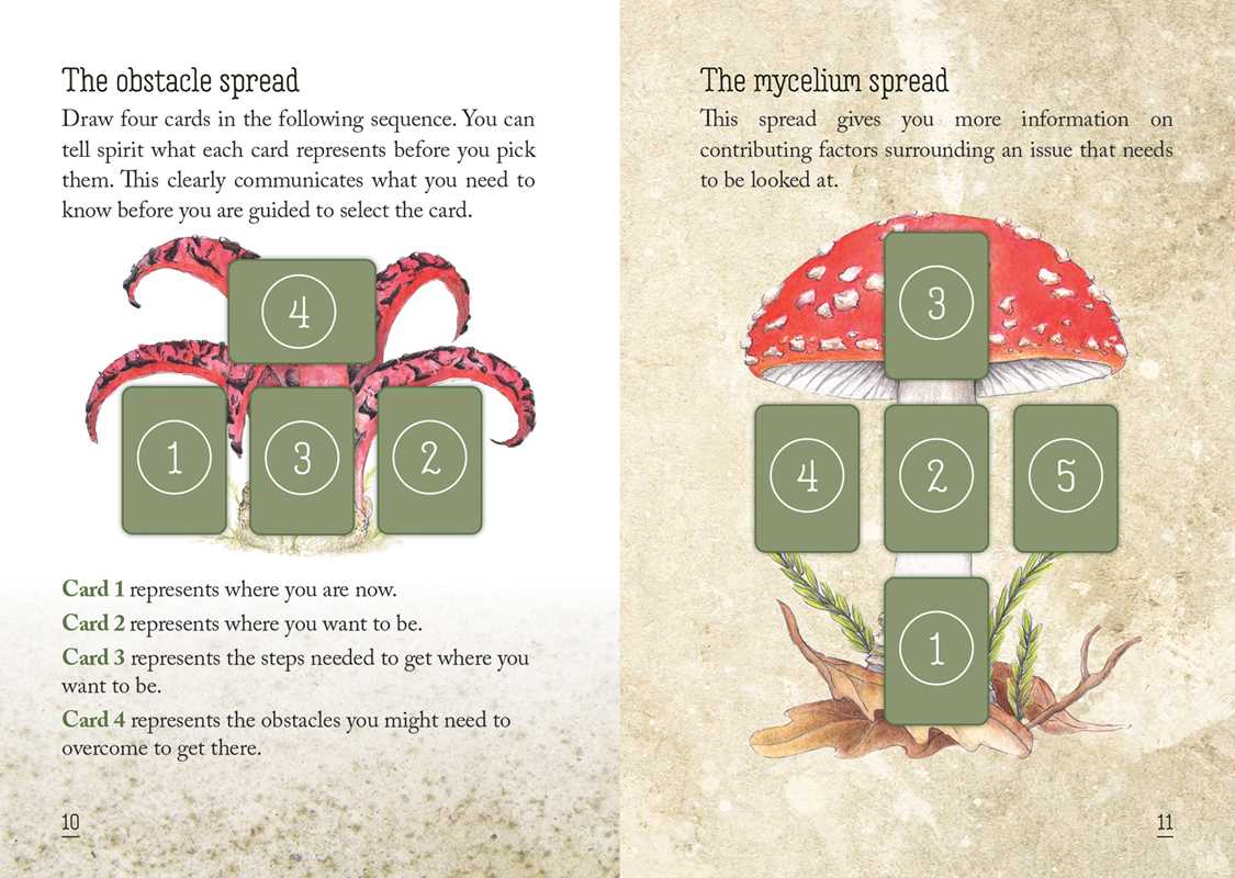 Mushroom Spirit Oracle by Nicola McIntosh: Flashcards; 112 pages / English
