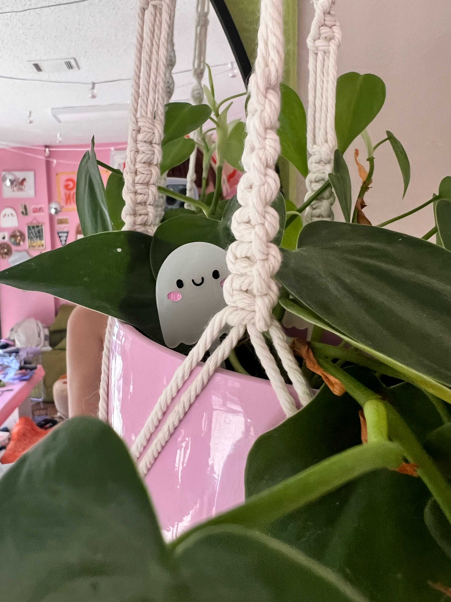 Ghost Plant Pal