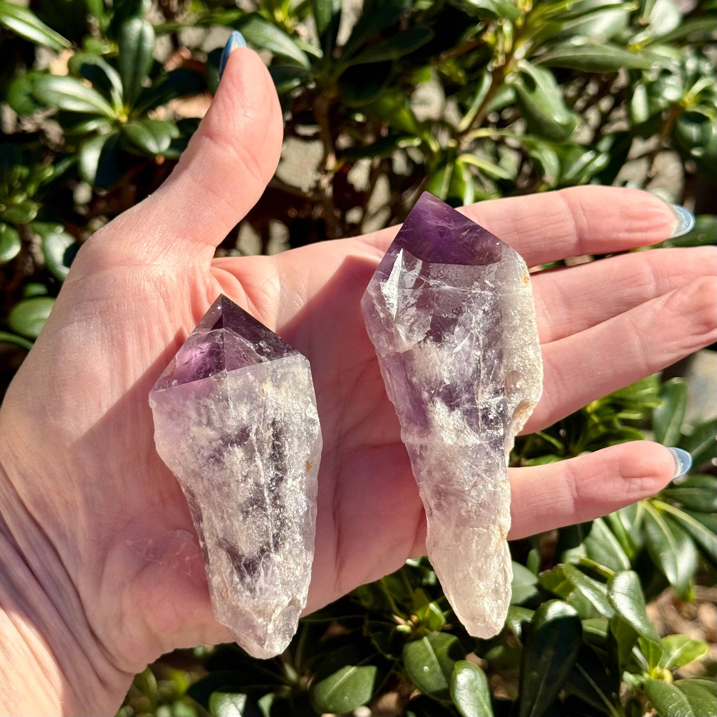 XL Amethyst Points - Limited Stock: XL