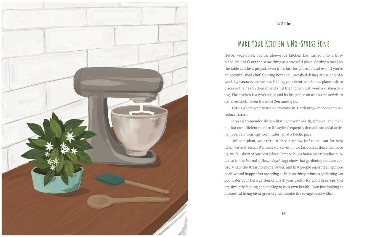 Never Put a Cactus in the Bathroom by Emily L. Hay Hinsdale: Hardcover; 208 pages / English
