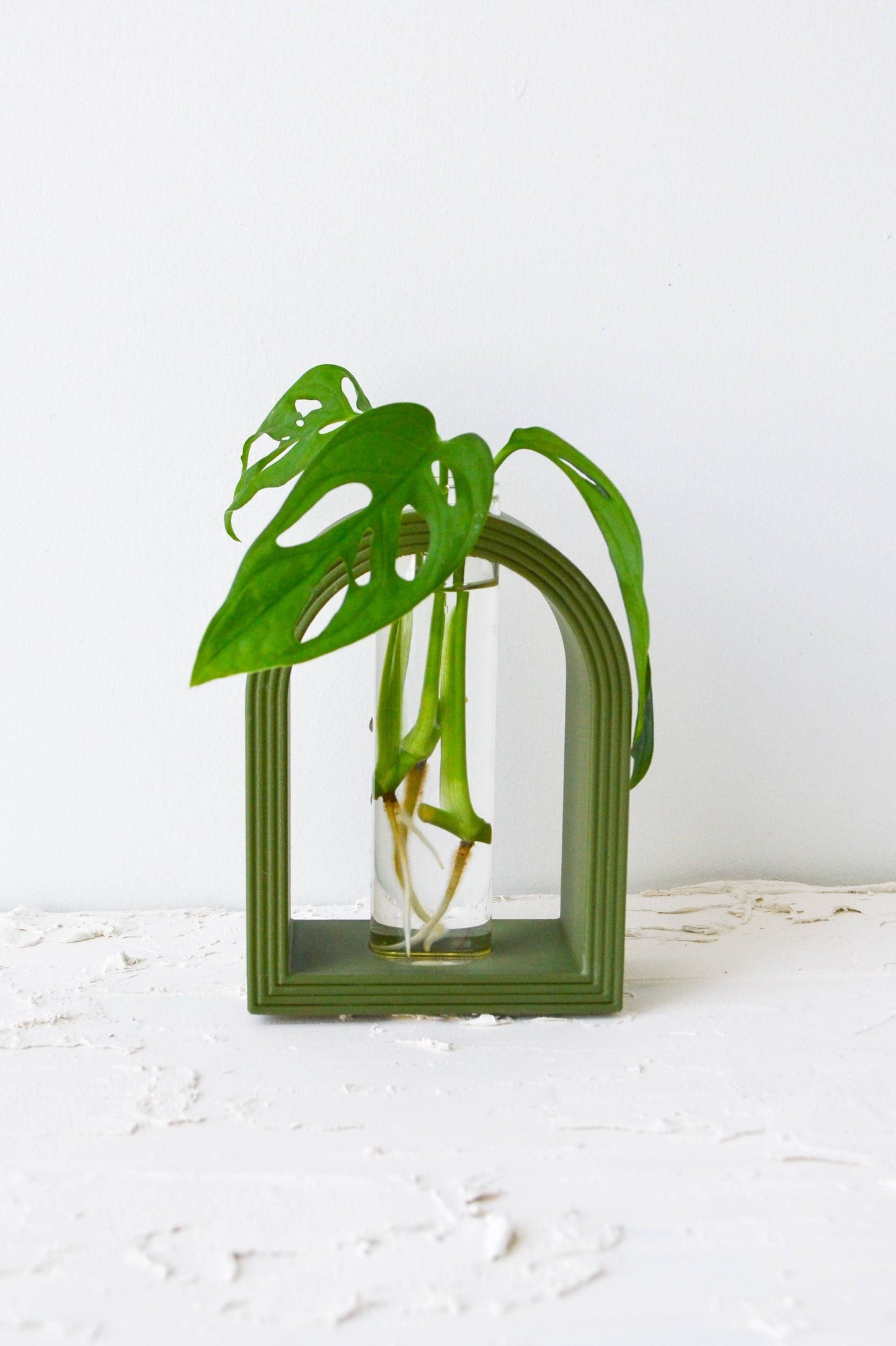 3D Printed Rainbow Arch Propagation Stands: Matte Pink