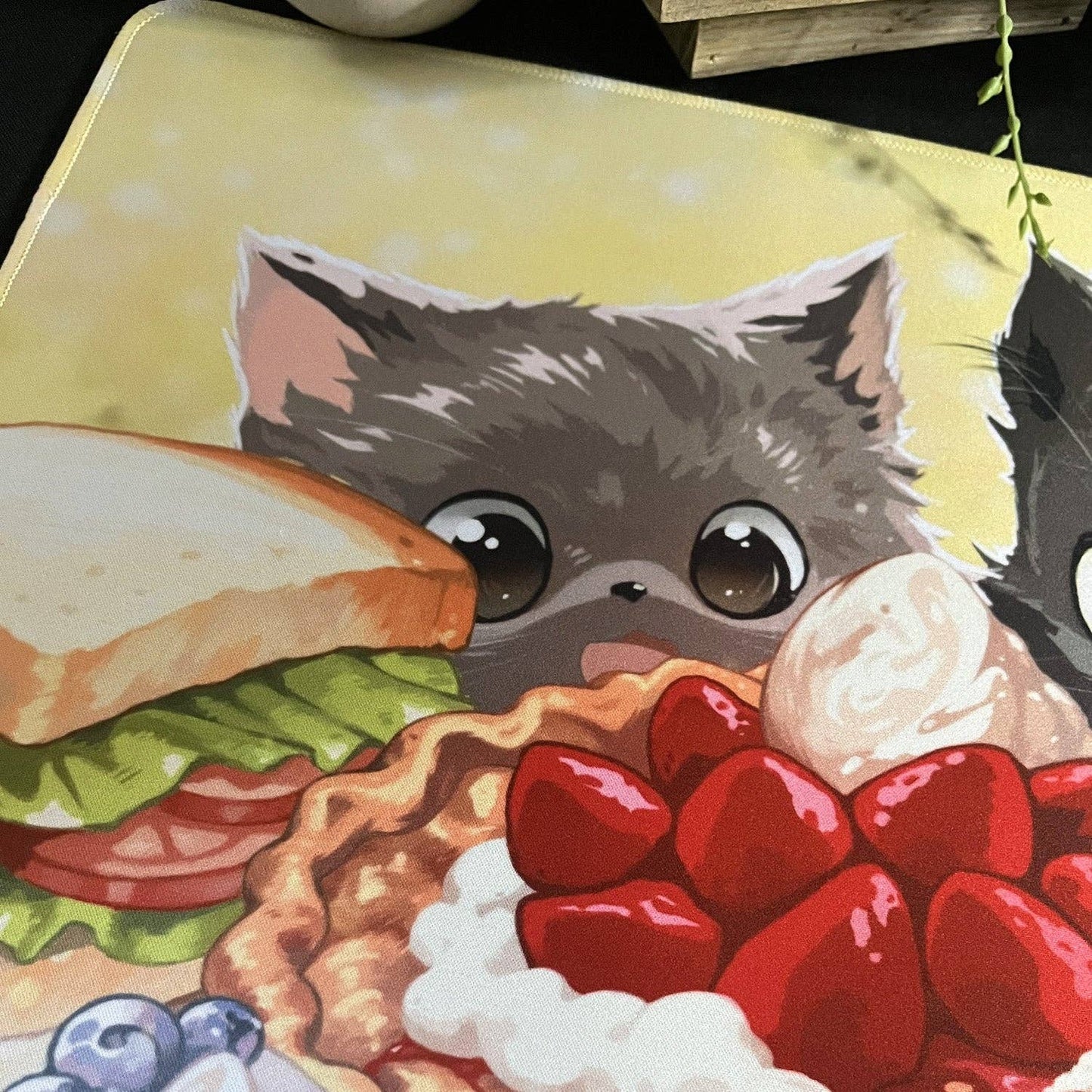 CnC Food Playmat: Drawstring Bag with Label