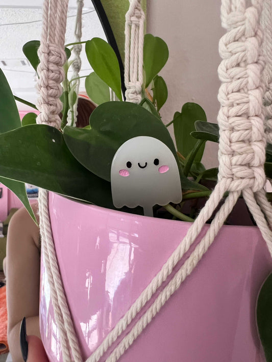 Ghost Plant Pal