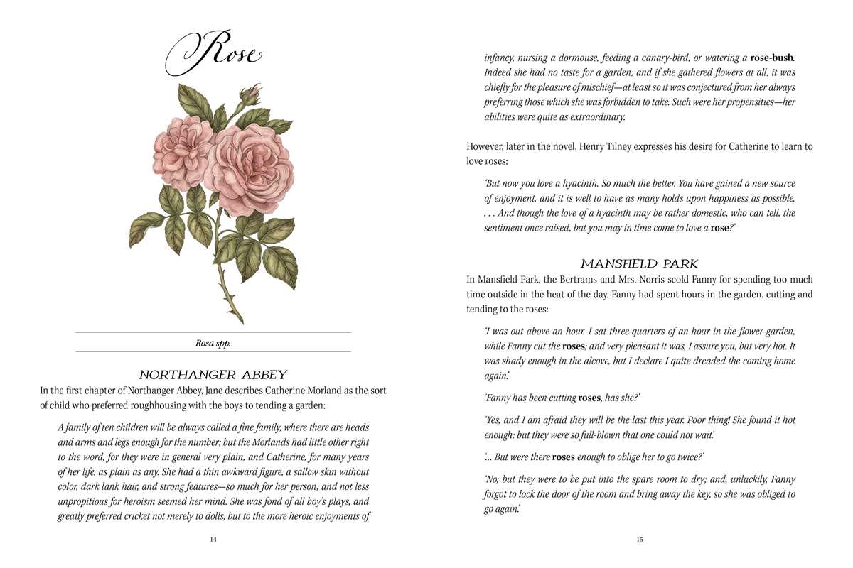 Jane Austen's Garden by Molly  Williams: Hardcover; 208 pages / English