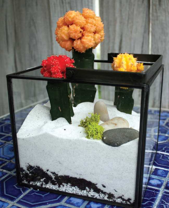 Terrariums Reimagined by Kat Geiger: Paperback; 144 pages / English