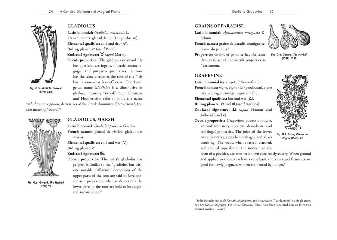 Occult Botany by Paul Sédir: Hardcover; 448 pages / English