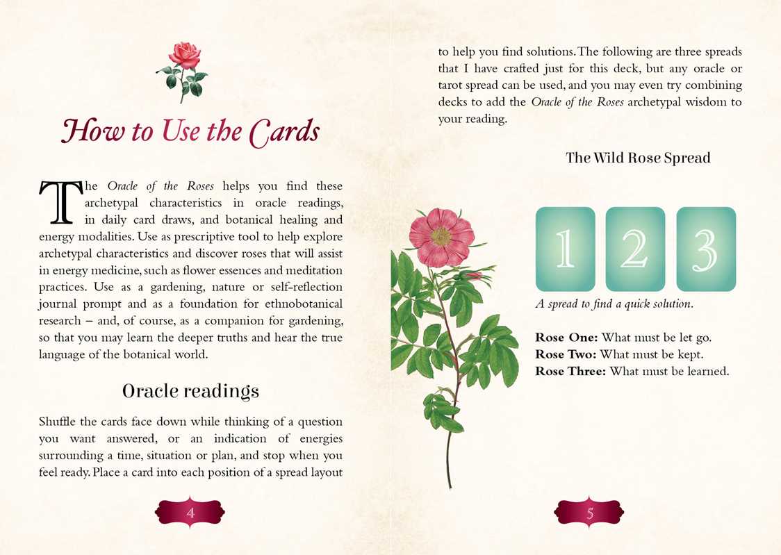 Oracle of The Roses by Cheralyn Darcey: Flashcards; 128 pages / English