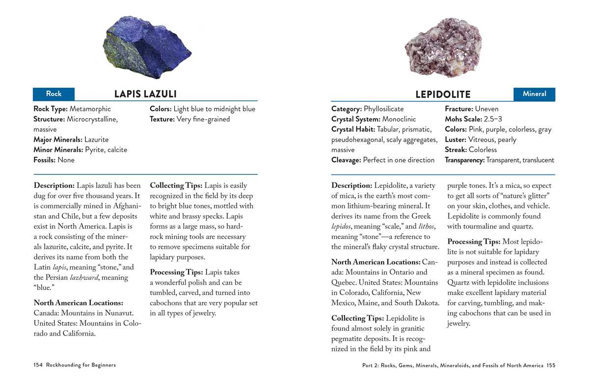 Rockhounding for Beginners by Lars W. Johnson: Paperback; 240 pages / English