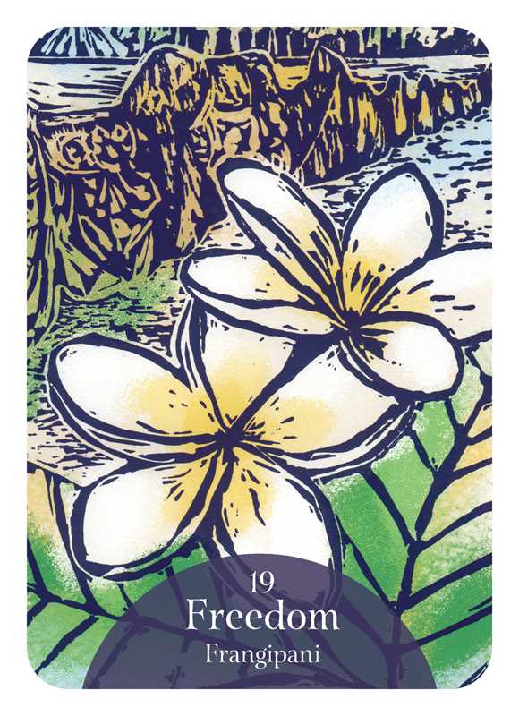 Language of Flowers Oracle by Cheralyn Darcey: Flashcards; 144 pages / English