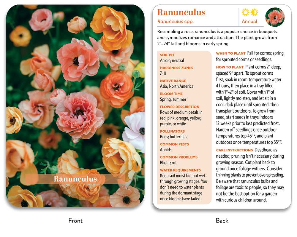 Flower Garden Deck by Jon VanZile: Flashcards; 50 pages / English