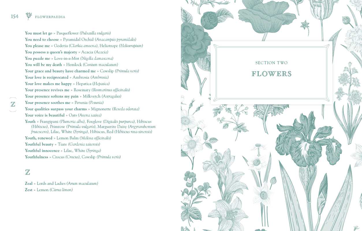 Flowerpaedia by Cheralyn Darcey: Paperback; 257 pages / English