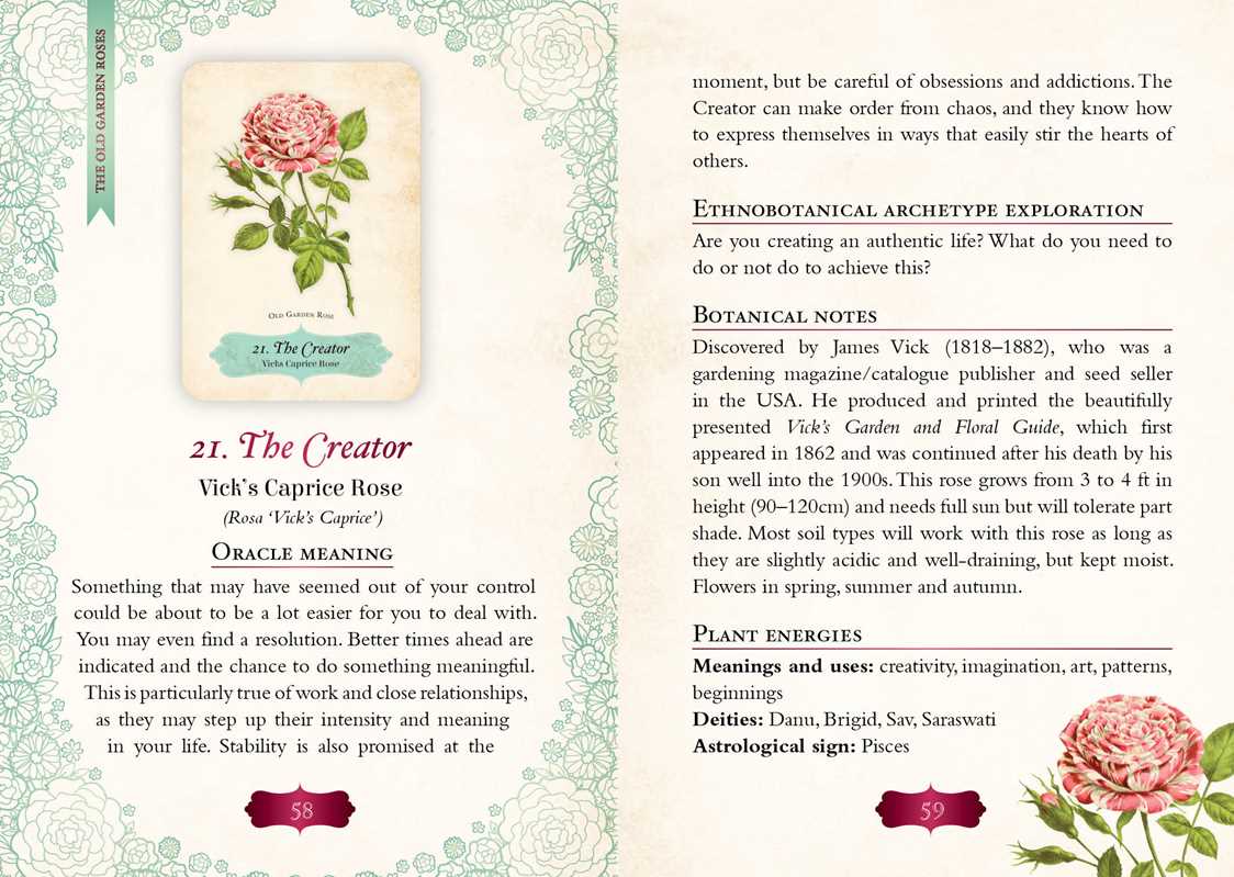 Oracle of The Roses by Cheralyn Darcey: Flashcards; 128 pages / English