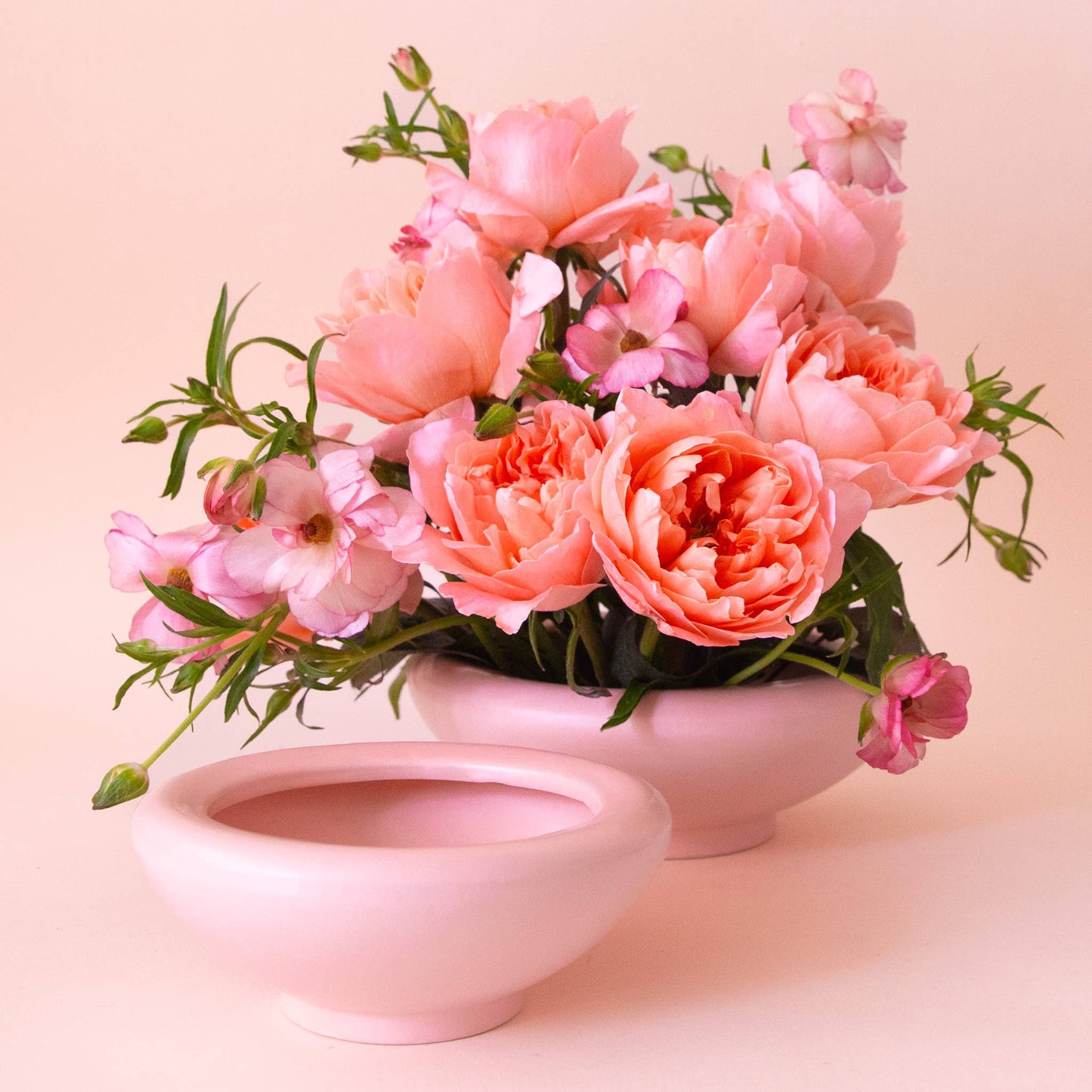 Birdie Bowl | Petal Pink: 6.25 inch