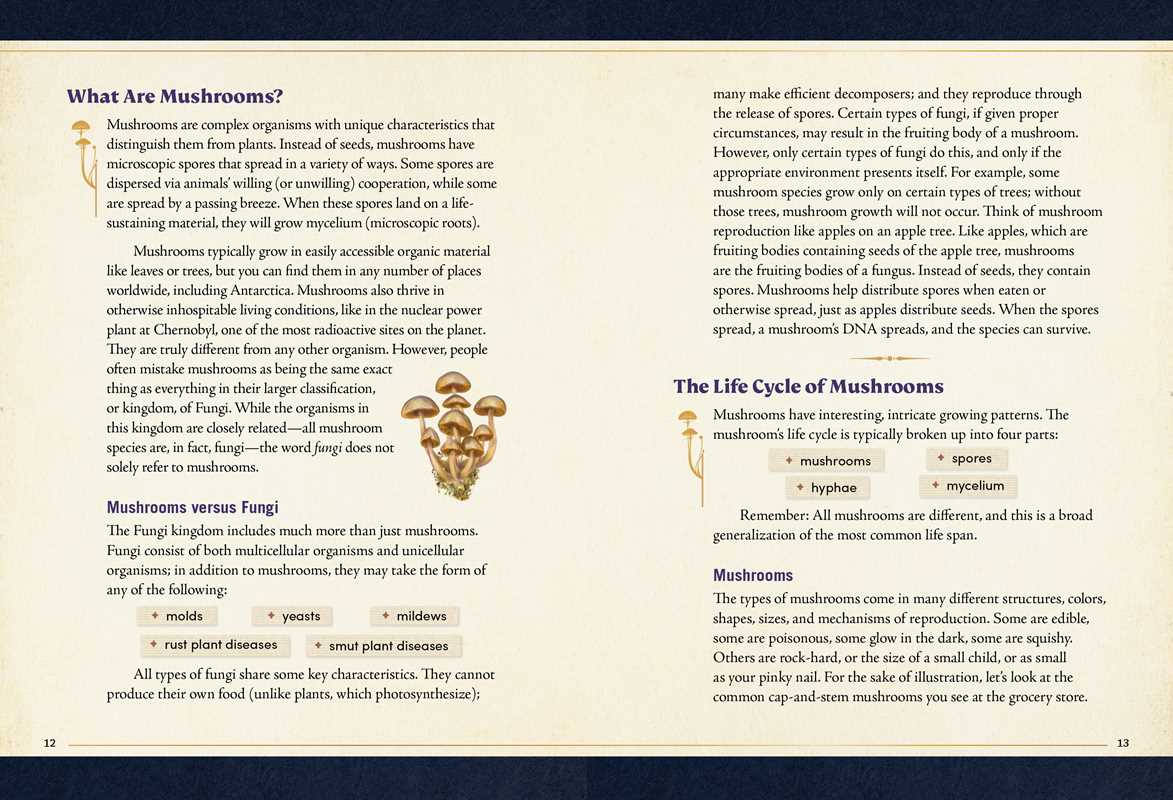 Little Book of Mushrooms by Alex Dorr: Hardcover; 256 pages / English