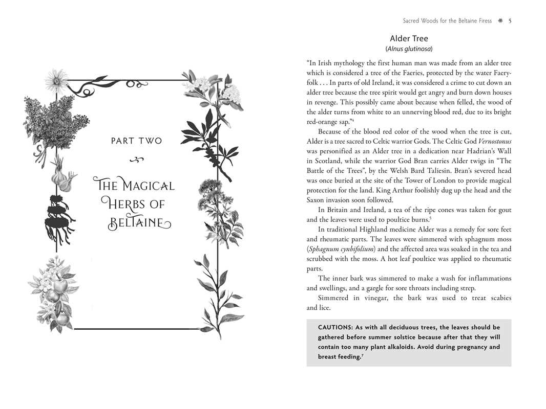 Sacred Herbs of Spring by Ellen Evert Hopman: Paperback; 376 pages / English