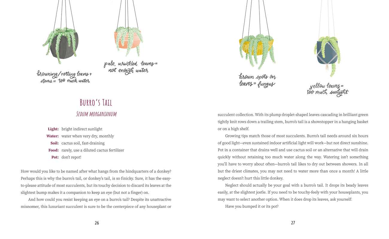 What Is My Plant Telling Me? by Emily L. Hay Hinsdale: Hardcover; 208 pages / English