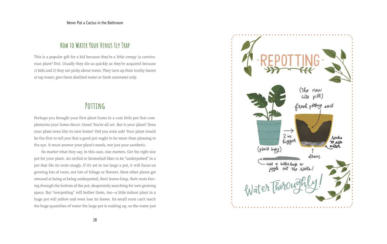 Never Put a Cactus in the Bathroom by Emily L. Hay Hinsdale: Hardcover; 208 pages / English