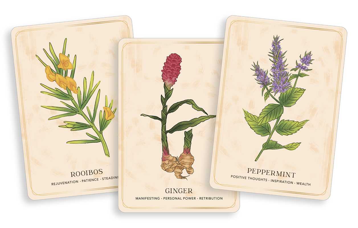 Herbal Tea Magic for the Modern Witch Oracle Deck by Elsie Wild: Flashcards; 192 pages / English